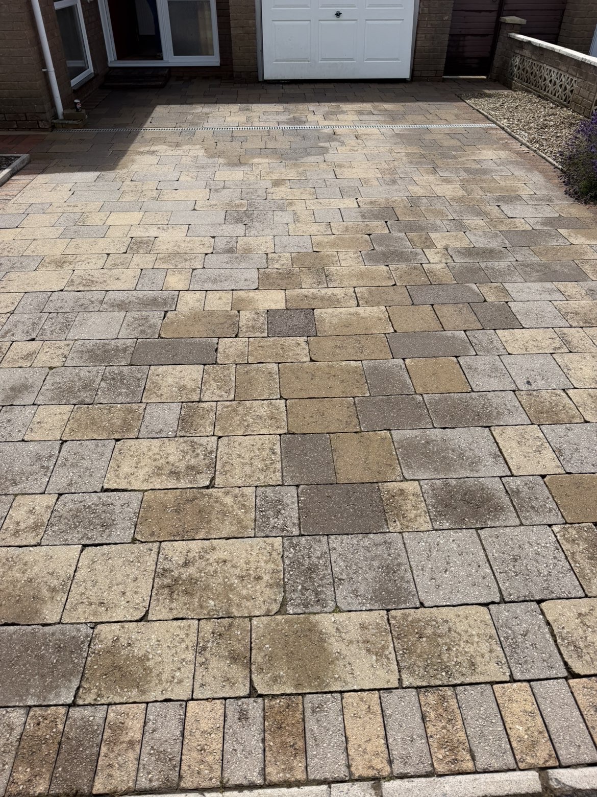 Wall Softwashing